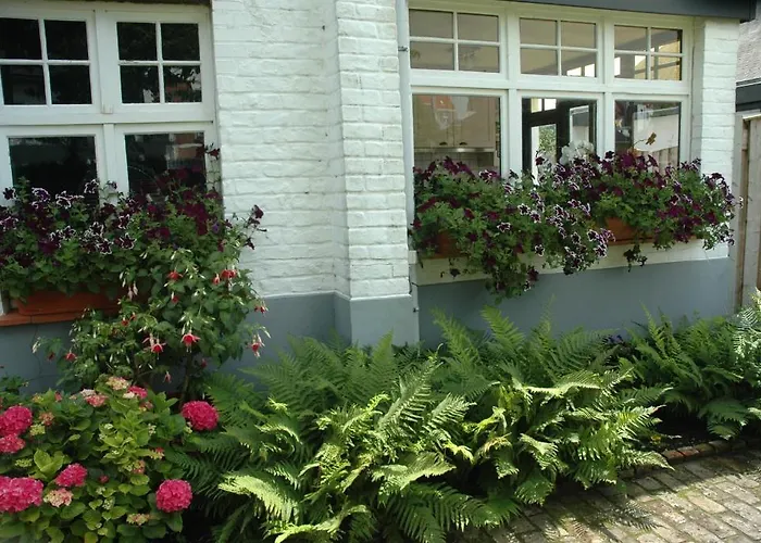 Bed & Breakfast Le Maquis 2*